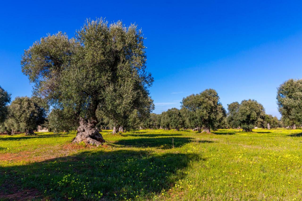 Apartmán Casa Bixie Old Town Of Ostuni Puglia Exteriér fotografie